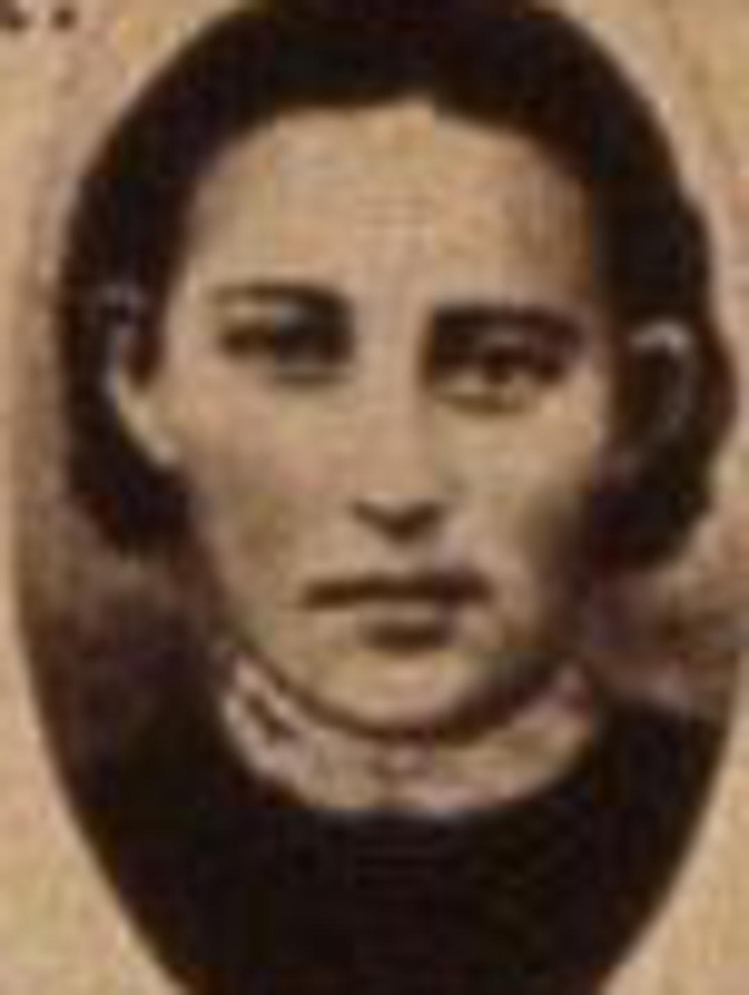 Lydia Ann Weiler (1844 - 1878) Profile